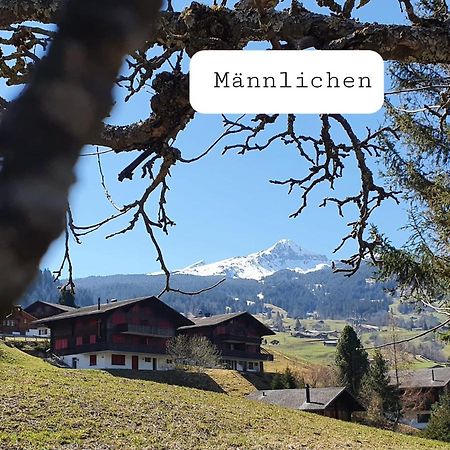 Apartment Lilalama Grindelwald Buitenkant foto