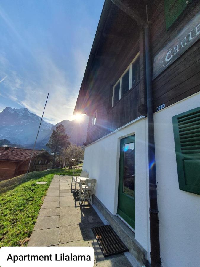 Apartment Lilalama Grindelwald Buitenkant foto
