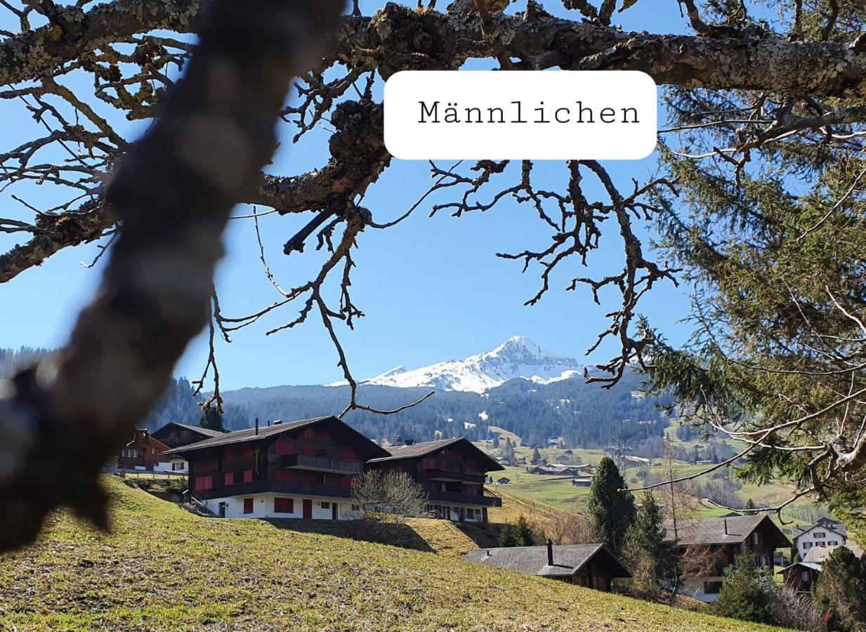 Apartment Lilalama Grindelwald Buitenkant foto