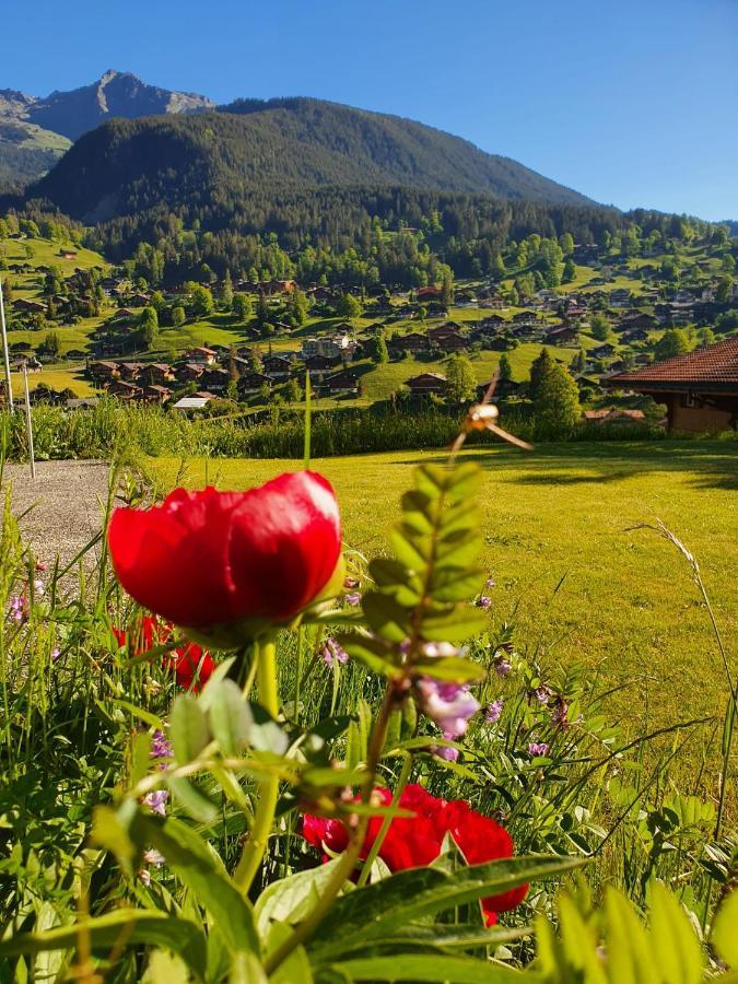 Apartment Lilalama Grindelwald Buitenkant foto